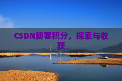 CSDN博客积分，探索与收获